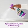 imageRejuvenate Granite ampamp Stone Daily Countertop Cleaner ampamp Shine 32oz32 Ounce Pack of 1