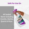 imageRejuvenate Granite ampamp Stone Daily Countertop Cleaner ampamp Shine 32oz32 Ounce Pack of 1